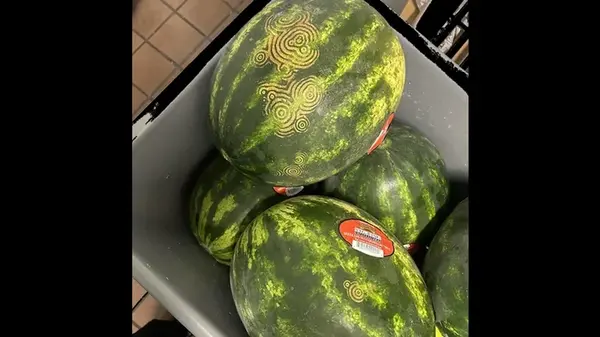 Инопланетные метки на арбузах беспокоят людей по всему миру: что оставляет узоры на ягоде