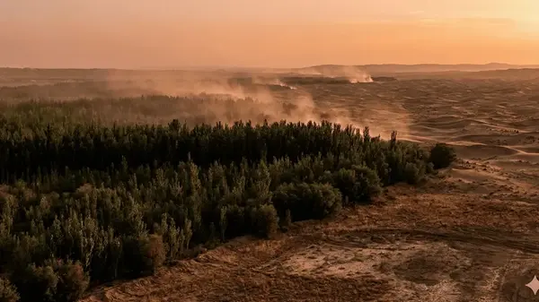 Как миллиарды новых деревьев оставили часть Китая без воды: тревожное исследование