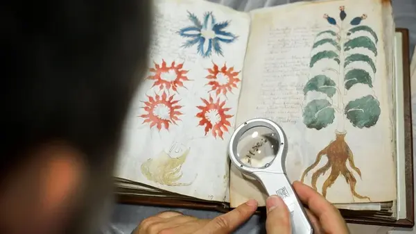 Невероятная находка: ученые нашли упоминание о драконе в самой загадочной книге мира