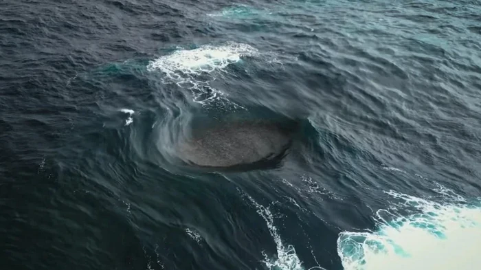 Загадочная воронка в океане: серферы случайно нашли место, где сходятся четыре волны (видео)