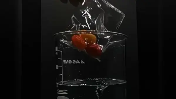 Растворяется в океане без следа: изобретение ученых из Японии может спасти Землю (видео)