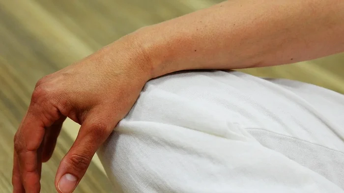 Почему у людей пять пальцев на руках и ногах: ответ ученых может удивить