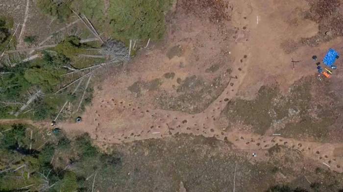 Более 150 млн лет назад хромой динозавр оставил «закрученную» тропу: как это возможно