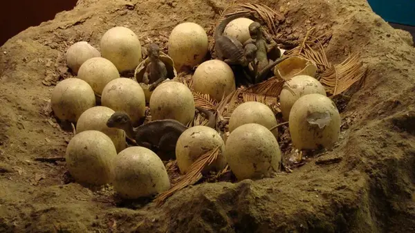 Ученые нашли яйца динозавров, которые были заполнены большими кристаллами: как это возможно