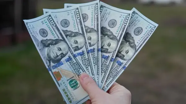 Сколько будут стоить 100 долларов в Украине: прогноз банкира до 4 января