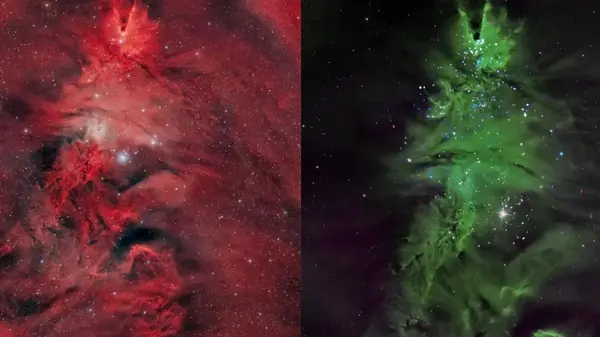 Космическая елка: астрономы зафиксировали необычное звездное скопление