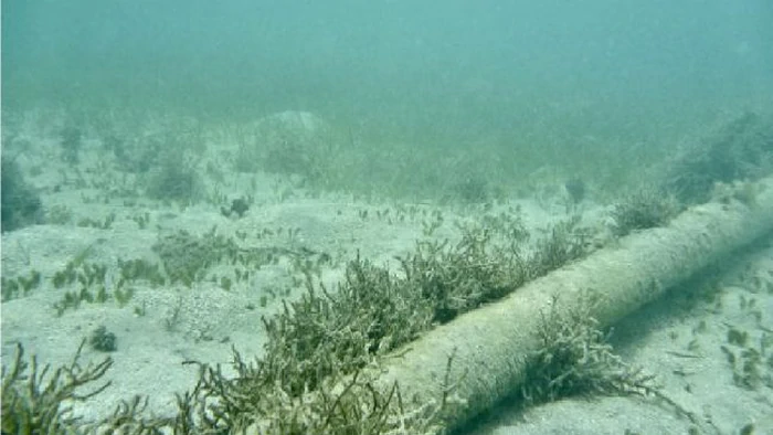 В Эстонии повредили пять подводных кабелей