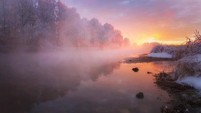 Гороскоп на неделю: для всех знаков зодиака
