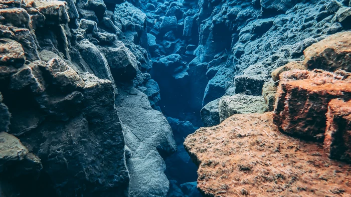 Где находится Марианская впадина и кто там обитает: тайны самого глубокого места на Земле