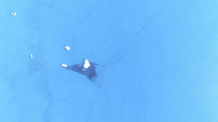 Ледник в Гренландии трещит по швам: ученые наблюдают процесс в режиме реального времени