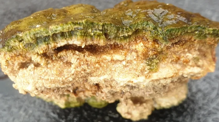 Ученые нашли одно из самых древних свидетельств жизни на Земле: что это и как выглядит