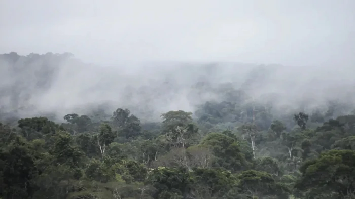 Что-то странное происходит в Амазонии: Земля не видела такого десятки миллионов лет