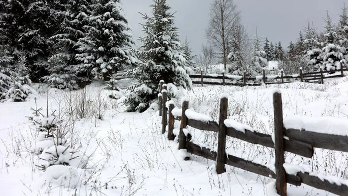 Все в снегу и 17 градусов мороза: спасатели предупредили об опасности в Карпатах