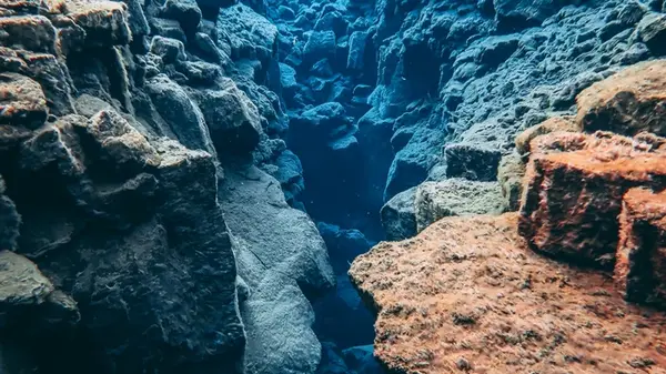 Где находится Марианская впадина и кто там обитает: тайны самого глубокого места на Земле