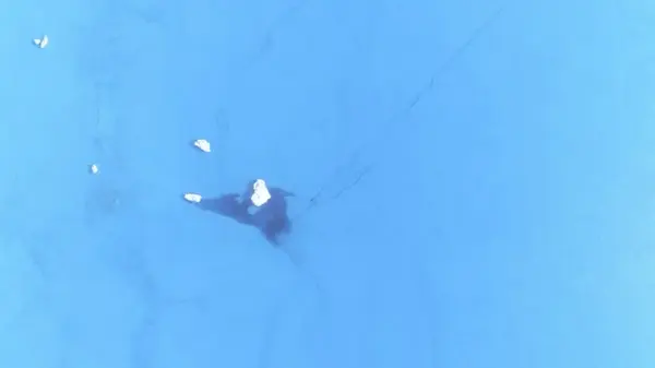 Ледник в Гренландии трещит по швам: ученые наблюдают процесс в режиме реального времени