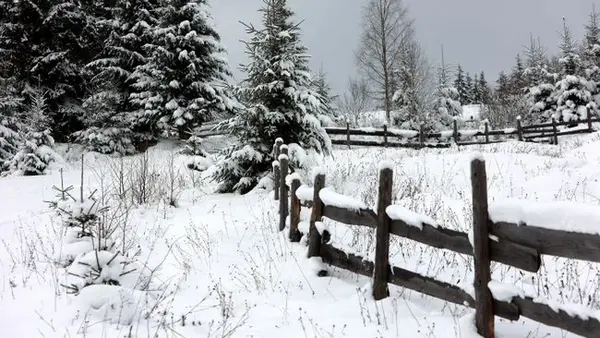 Все в снегу и 17 градусов мороза: спасатели предупредили об опасности в Карпатах