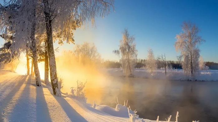 Гороскоп на неделю: для всех знаков зодиака