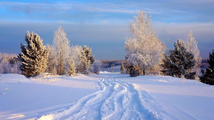 Холод не отступает: синоптик назвала новые даты ослабления морозов