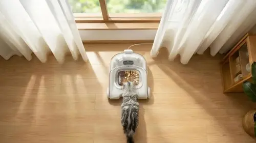 Представлена автоматическая кормушка для кошек с распознаванием «лица»