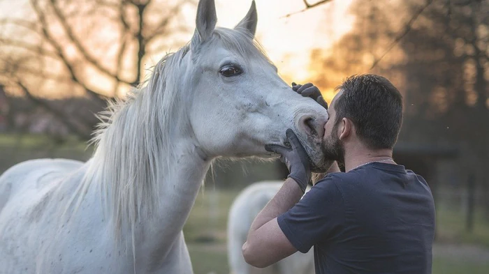 Не только собаки «лучшие друзья человека»: ученые узнали, кто еще понимает людей без слов
