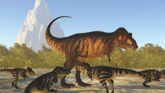 До своего 40-летия тираннозавры были слабаками: грозу Мелового периода гоняли мелкие хищники