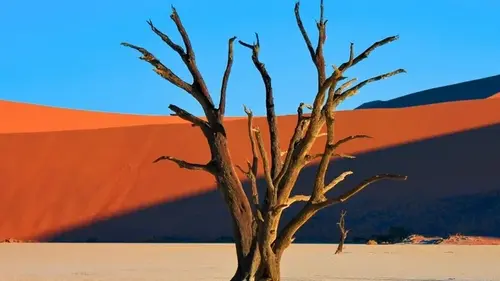 Земля впервые объявлена «водным банкротом»: водоемы пустеют быстрее, чем природа пополняет их