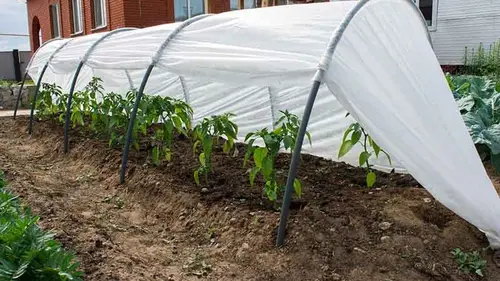 парниковые дуги