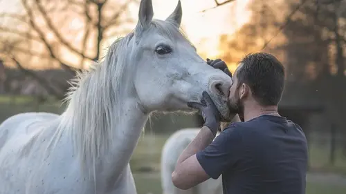 Не только собаки «лучшие друзья человека»: ученые узнали, кто еще понимает людей без слов