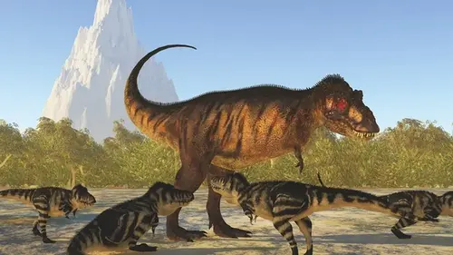До своего 40-летия тираннозавры были слабаками: грозу Мелового периода гоняли мелкие хищники