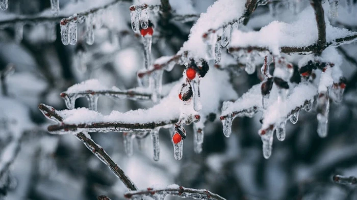 Синоптики сообщили, какая погода ждет украинцев в феврале