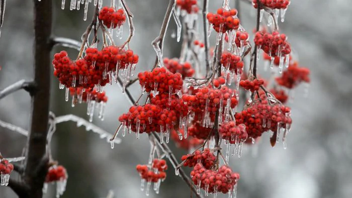 Единственный теплый день перед резким похолоданием: прогноз погоды на завтра