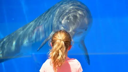 Ученые нашли существ, которые пользуются именами почти как люди