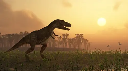 Ученые обнаружили крупнейшую коллекцию следов динозавров в Австралии: чем они особенны