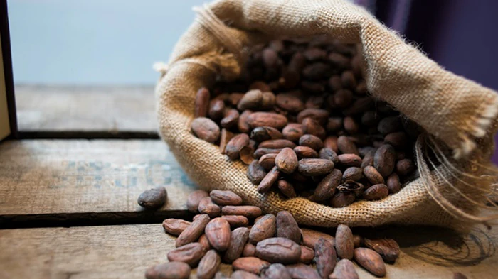 Цены на какао упали до минимума с 2023 года