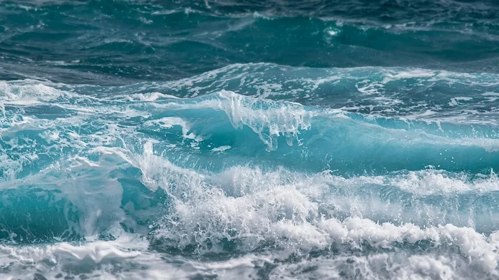 Четыре часа боролся с волнами: подросток спас семью, которую отнесло в океан