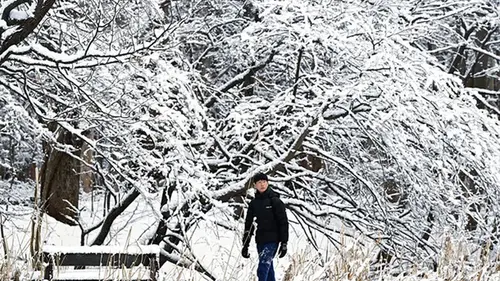 В Японии из-за снегопадов погибли 35 человек