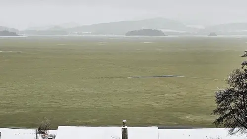 Зловещее знамение: замерзшее озеро в Чехии неожиданно стало зеленым — виноват токсичный захватчик