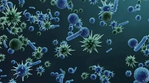 Под землей могут существовать микробы, «спящие» миллионы лет — чего они ждут