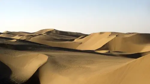 Одну и самых засушливых пустынь мира превратили в поглотитель углерода: как это удалось Китаю