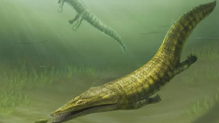 После апокалипсиса: ученые узнали поразительные детали о древнейших «морских чудовищах»