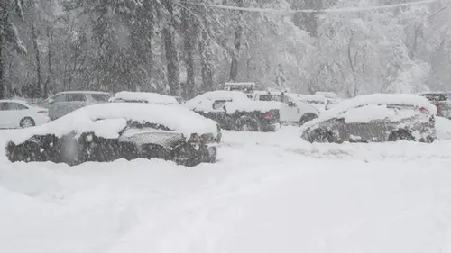 В США лавина накрыла группу лыжников: много жертв