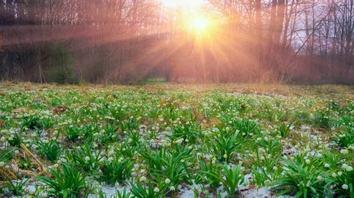 Гороскоп на неделю: для всех знаков зодиака