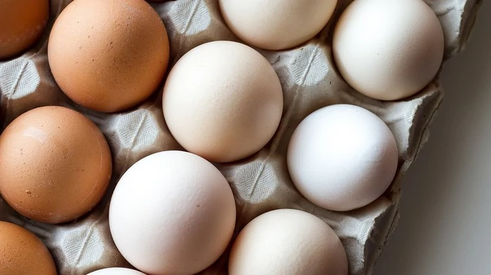 В Украине дорожают куриные яйца: эксперт рассказал, стоит ли ждать падения цен весной