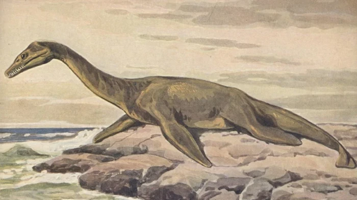 В Алжире нашли след морского «монстра», который заполнил пробел в истории динозавров