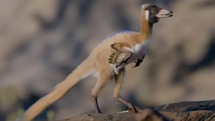 Весил меньше килограмма: ученые нашли 90-миллионолетние останки уникального динозавра