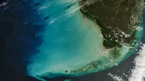 NASA зафиксировало невероятное изменение цвета океана во Флориде (фото)