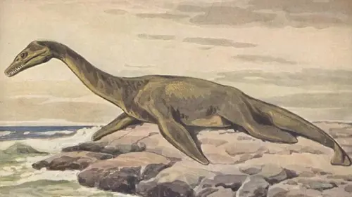 В Алжире нашли след морского «монстра», который заполнил пробел в истории динозавров