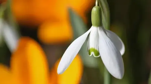 Финансовый гороскоп на неделю: кого из знаков Зодиака ждет прибыль 9 — 15 марта