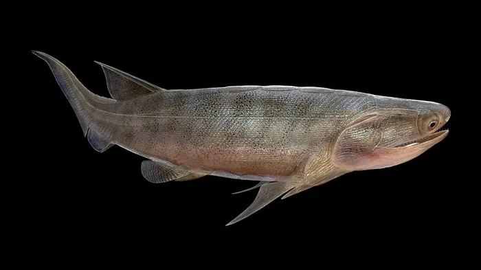 В Китае нашли окаменелости возрастом 436 миллионов лет: чем они поразили ученых