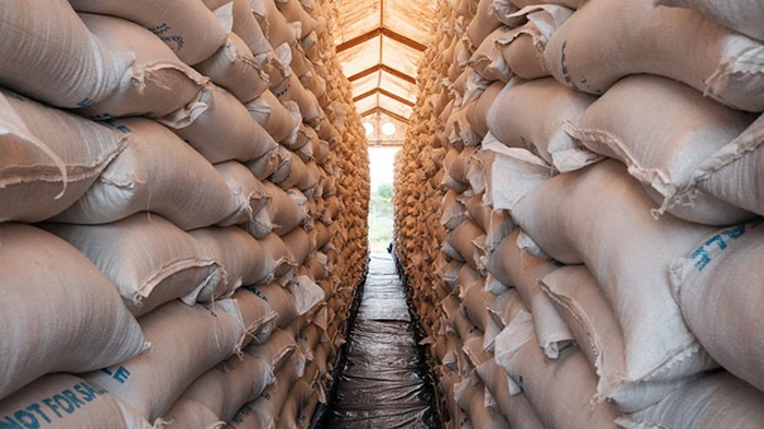 ООН предупреждает о риске глобального голода из-за войны в Иране